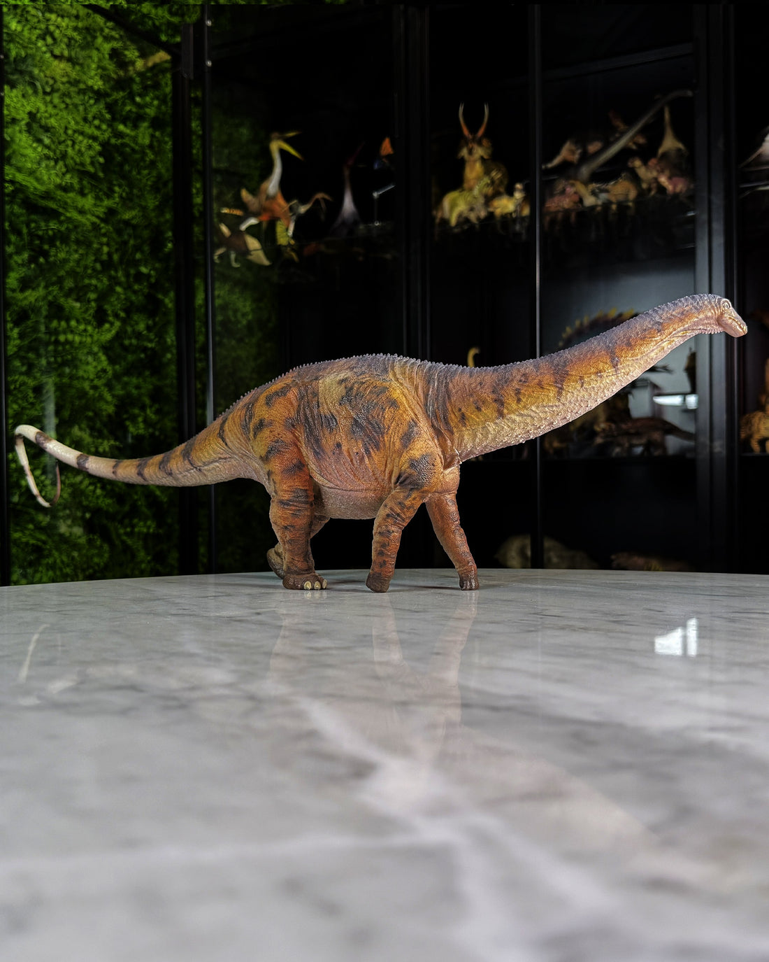 Apatosaurus Haolonggood (2023)