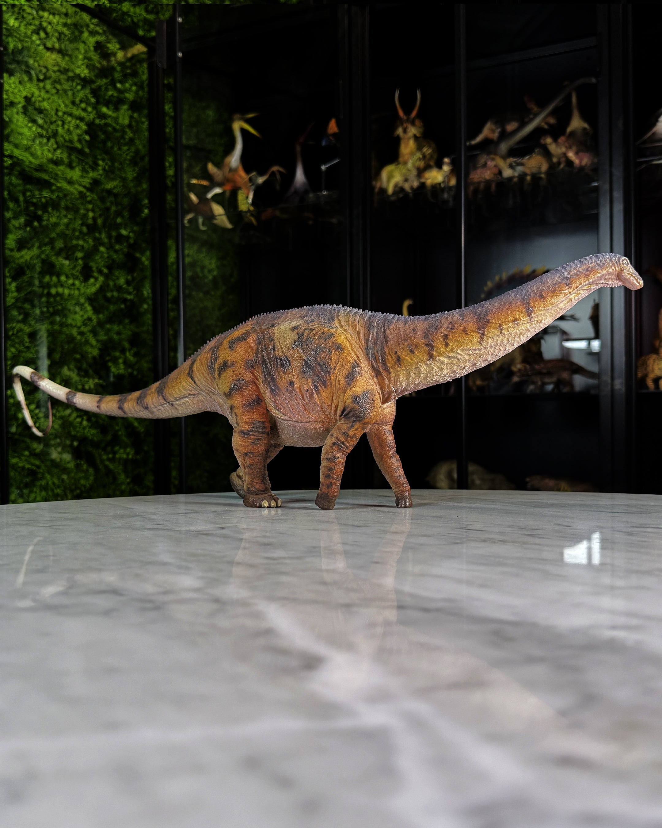 Apatosaurus Haolonggood (2023)