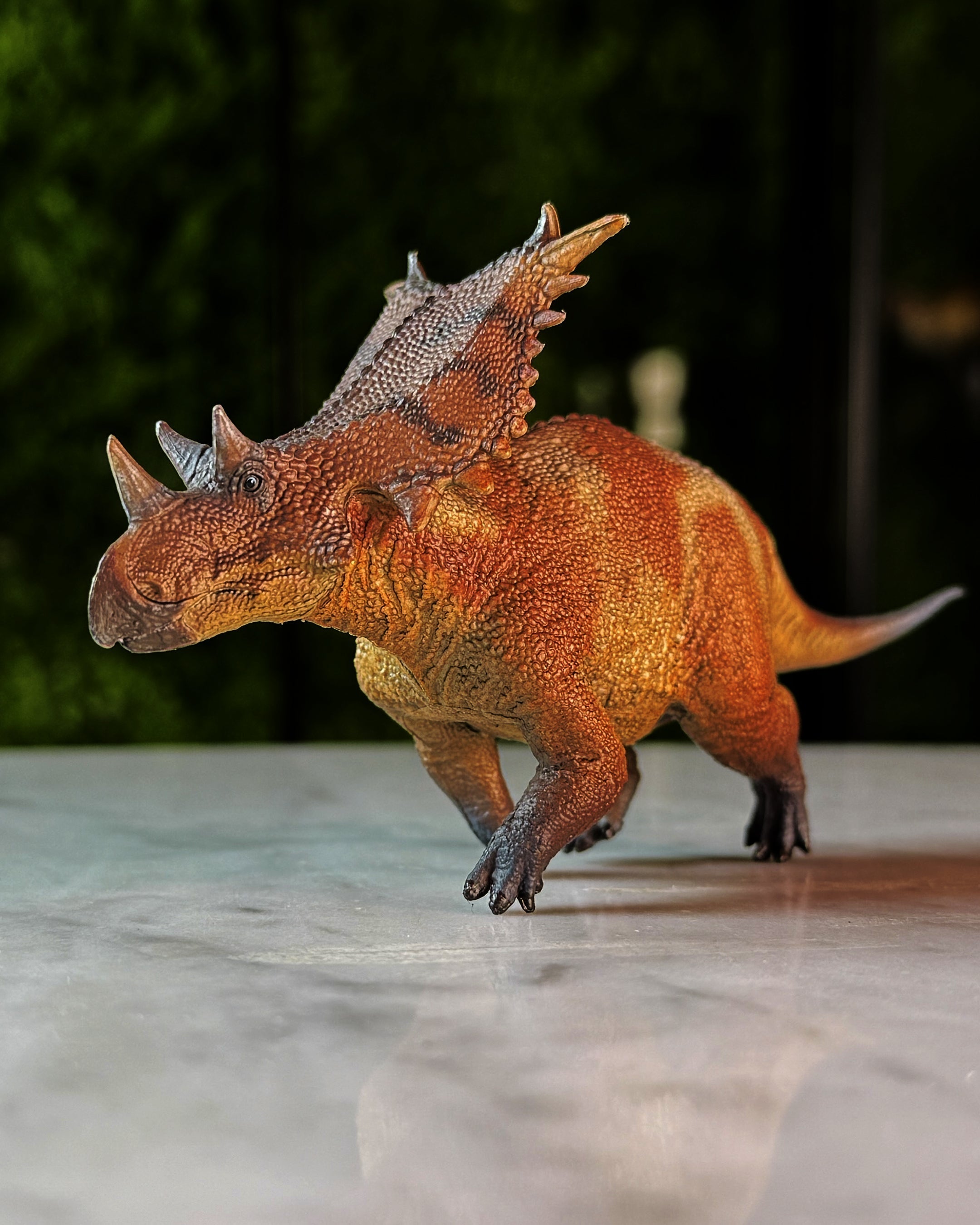 Chasmosaurus de Haolonggood (2024)