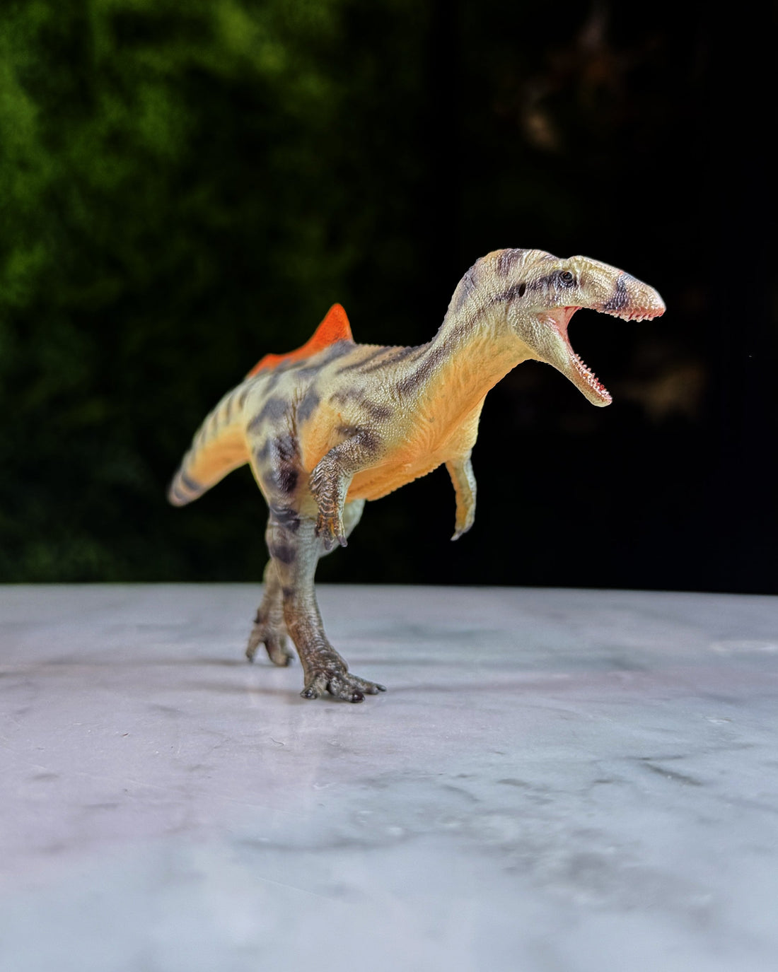 Concavenator de Haolonggood (2025)