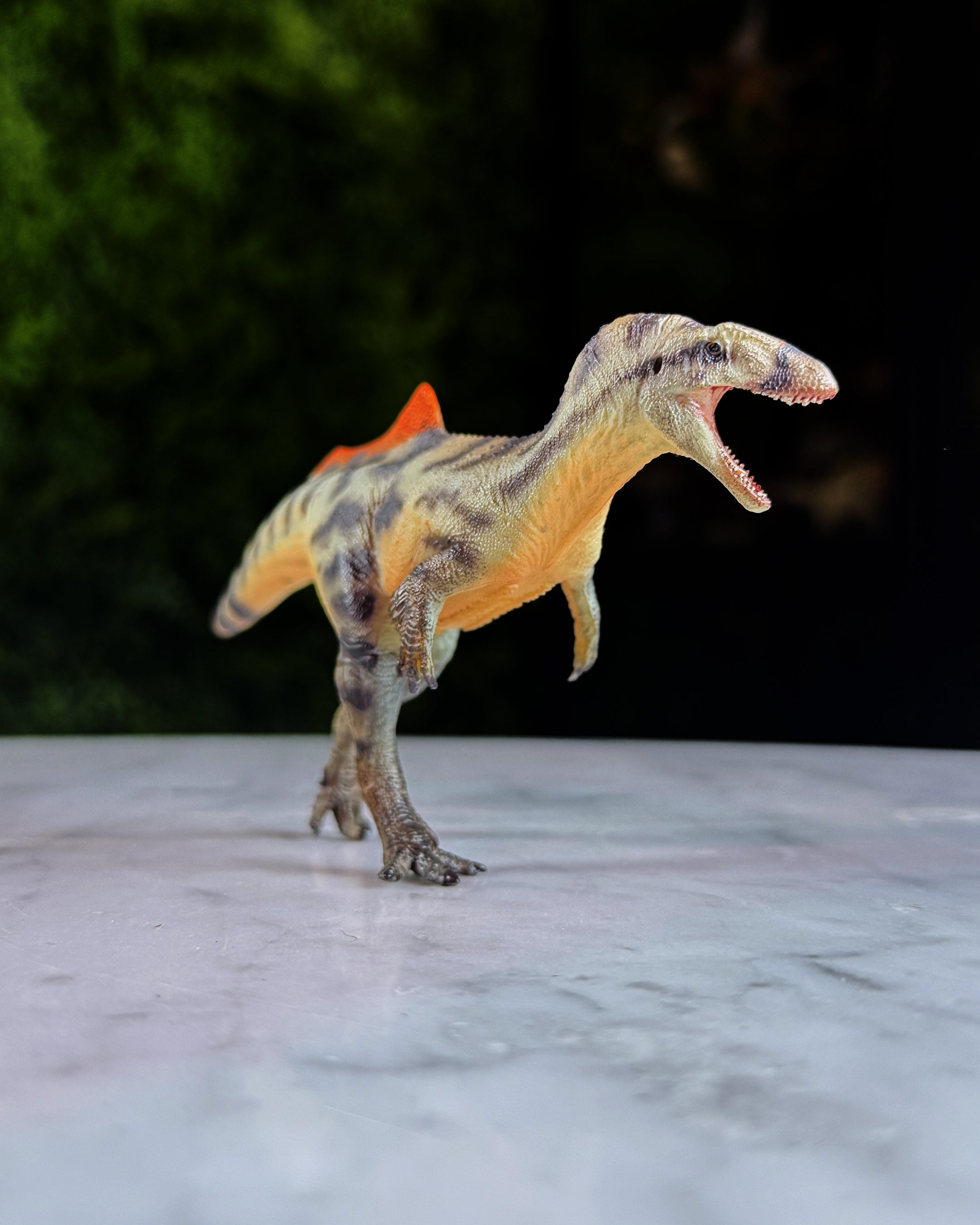 Concavenator de Haolonggood (2025)