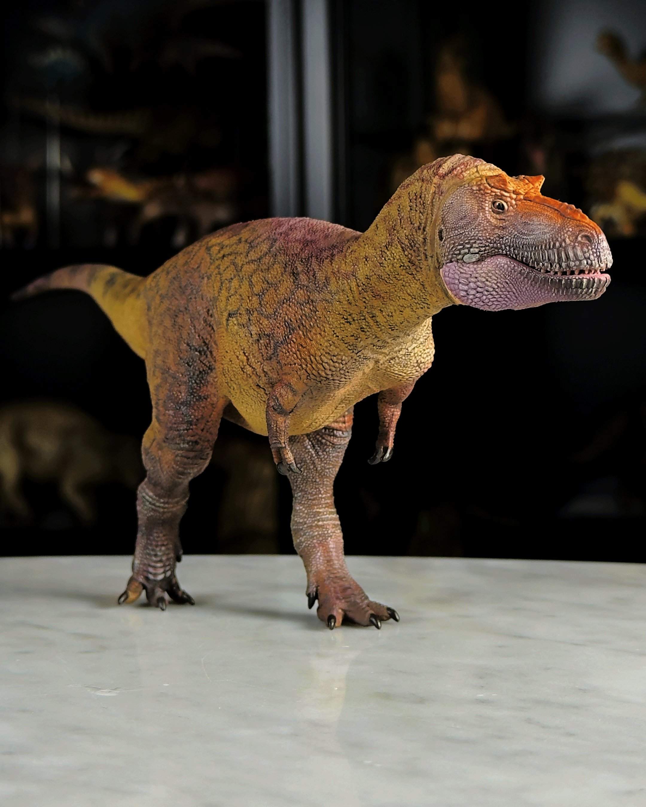 Daspletosaurus de Haolonggood (2023)