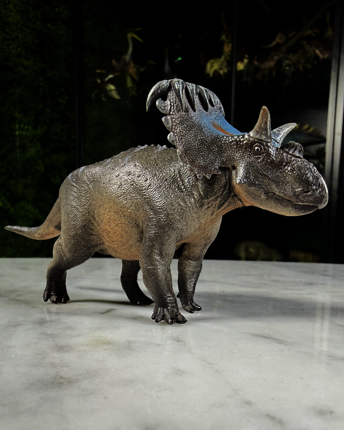 Kosmoceratops Haolonggood (2023)