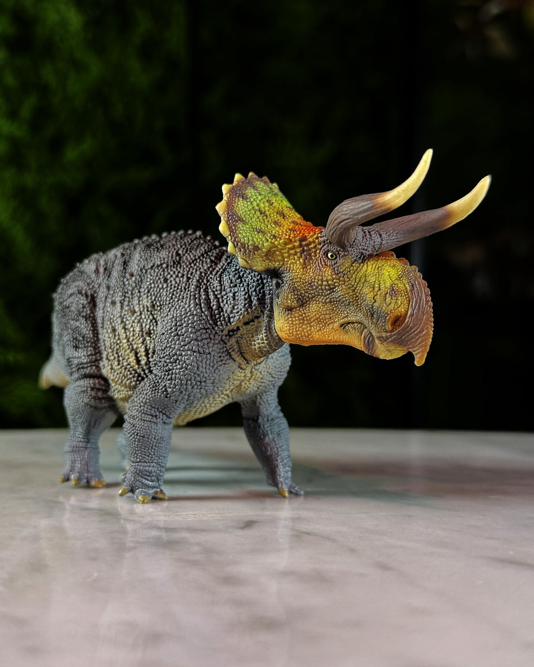 Nasutoceratops de Haolonggood (2023)