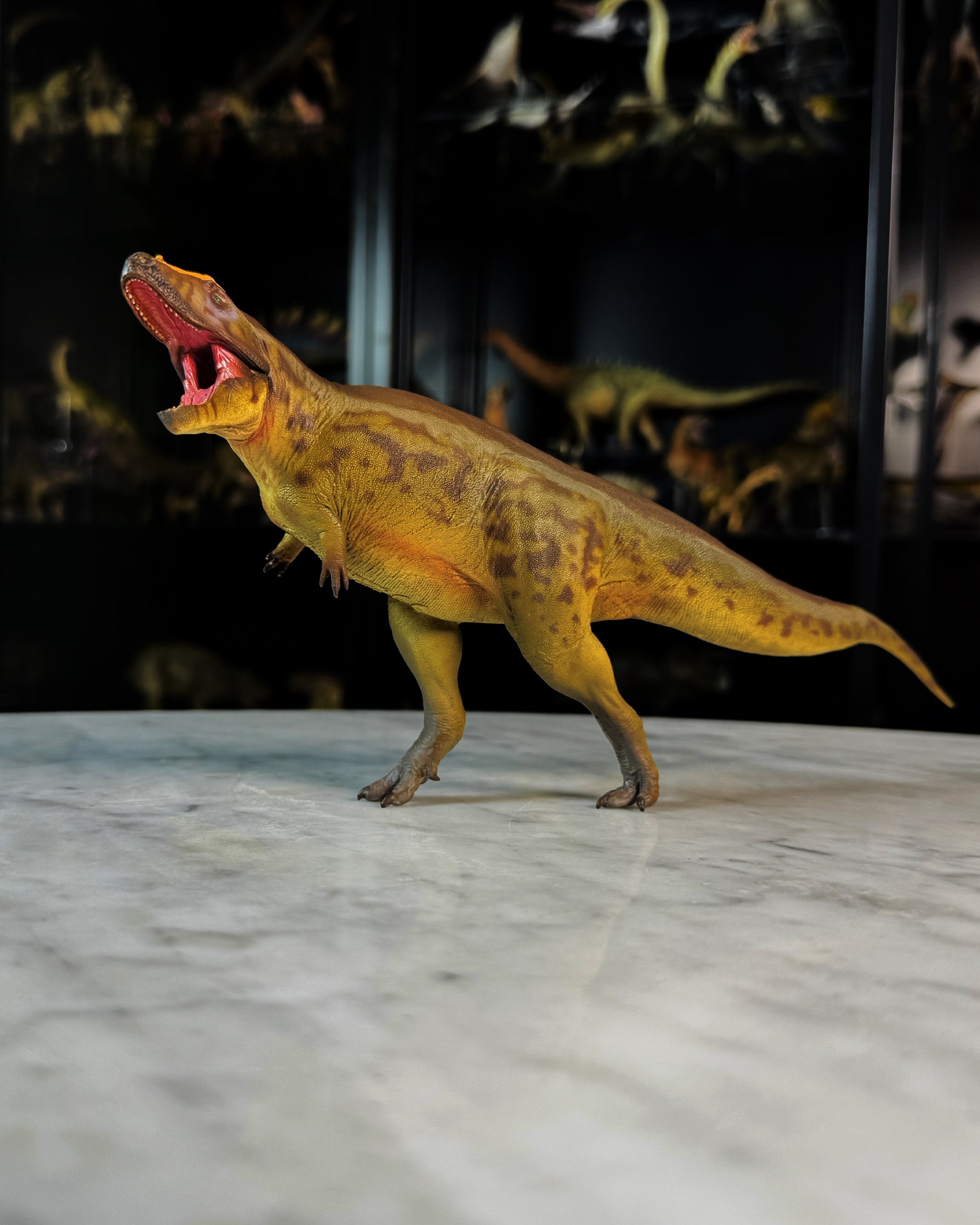 Tameryraptor de PNSO (2025)
