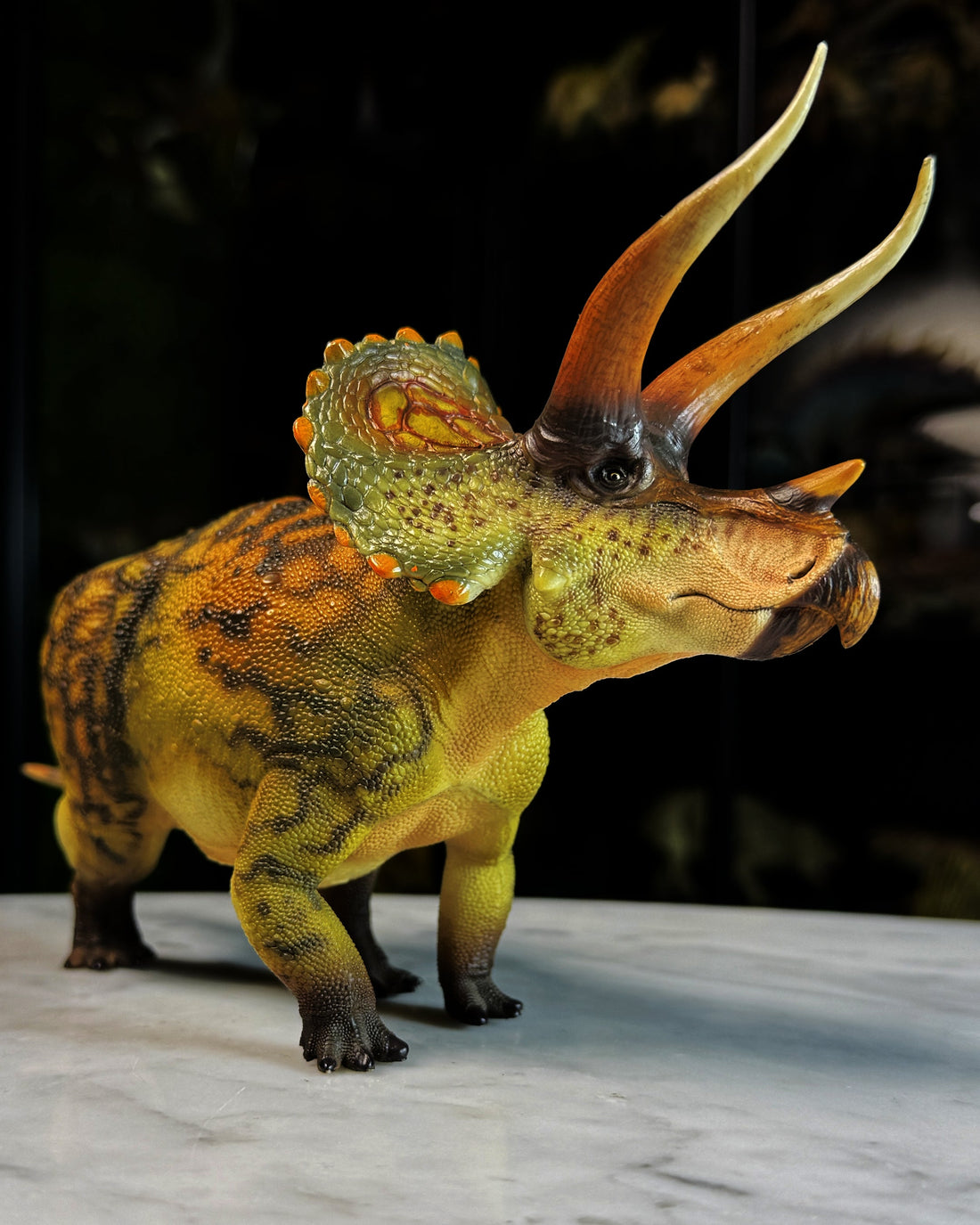 Triceratops de Haolonggood (2024)
