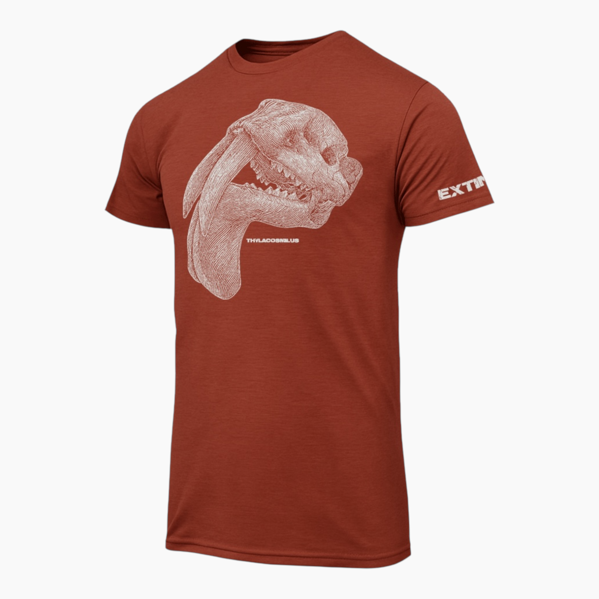 EXTINCT THYLACOSMILUS